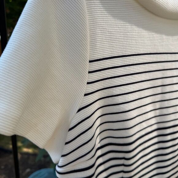 Talbots Dresses & Skirts - Talbots Black and White Knee-Length Dress Short Sleeve Accent Collar